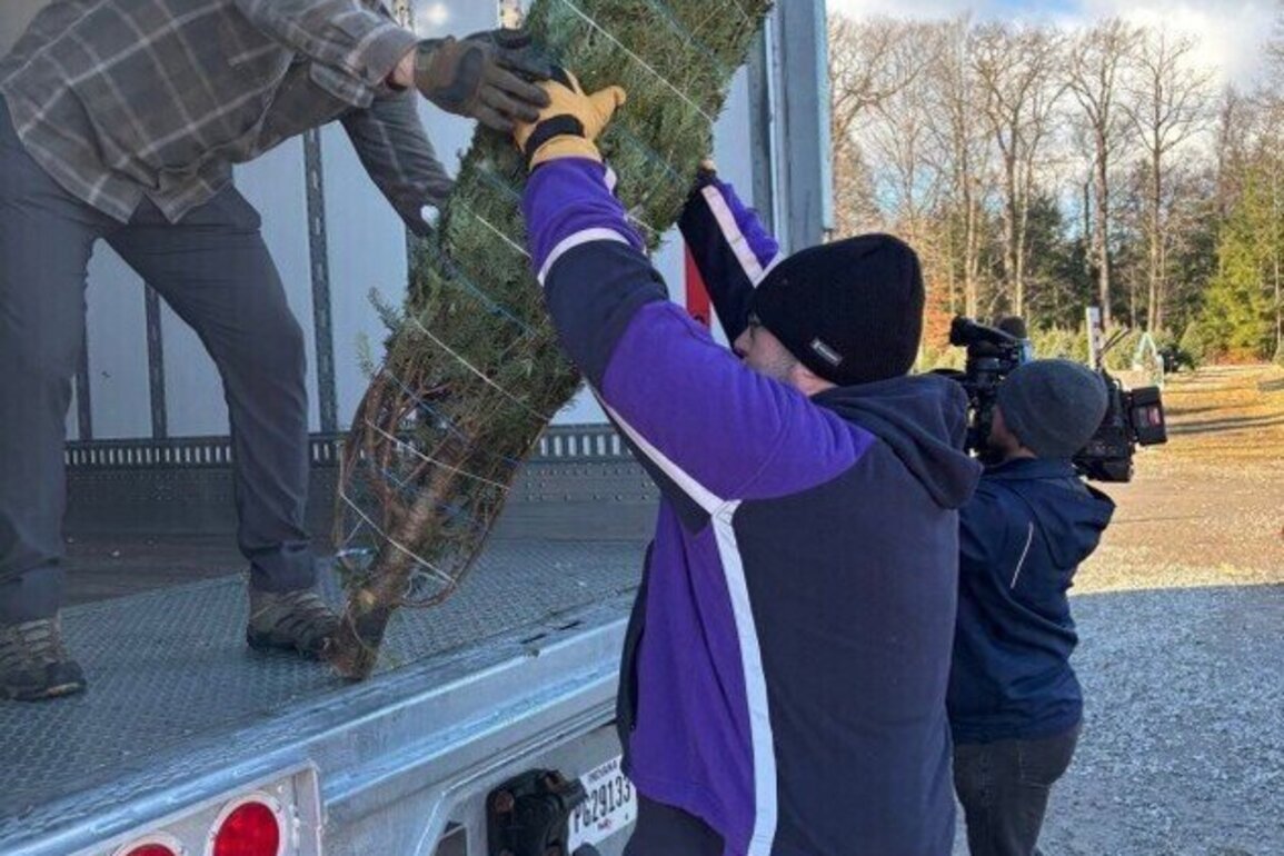 NY National Guard volunteers give lift to Trees for Troops