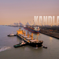 "Historic milestone": DPA Kandla handles 40 ships in 24 hours