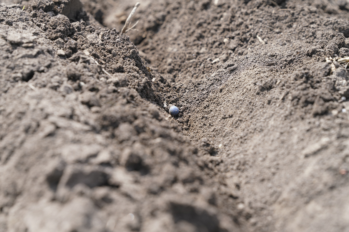 CHINA-HEILONGJIANG-SPRING SOWING (CN)