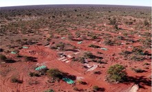 Weednanna is part of Alliance’s northern Eyre Peninsula Wilcherry Project