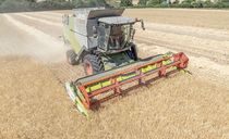 How investing in a Claas Evion combine proved less is more at harvest for a Hampshire grower