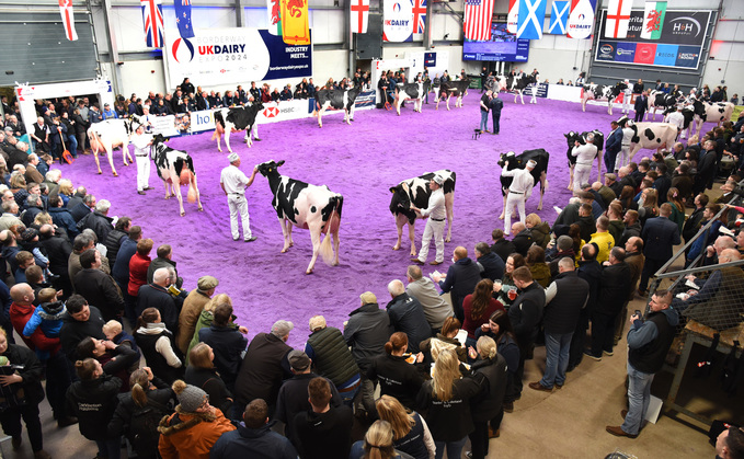Record breaking entries were seen at this year's Borderway UK Dairy Expo.