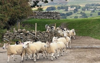 Forage for CH4nge project reveals interesting findings