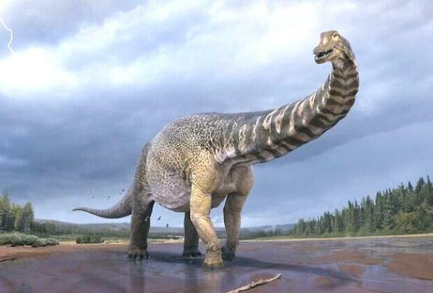 New dinosaur species discovered in Australia