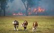The New South Wales Rural Fire Service (RFS) warns most properties devastated by fire never fully recover, so farmers cannot afford not to have a plan.