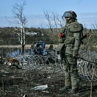 How North Koreans helped us liberate the Kursk Region