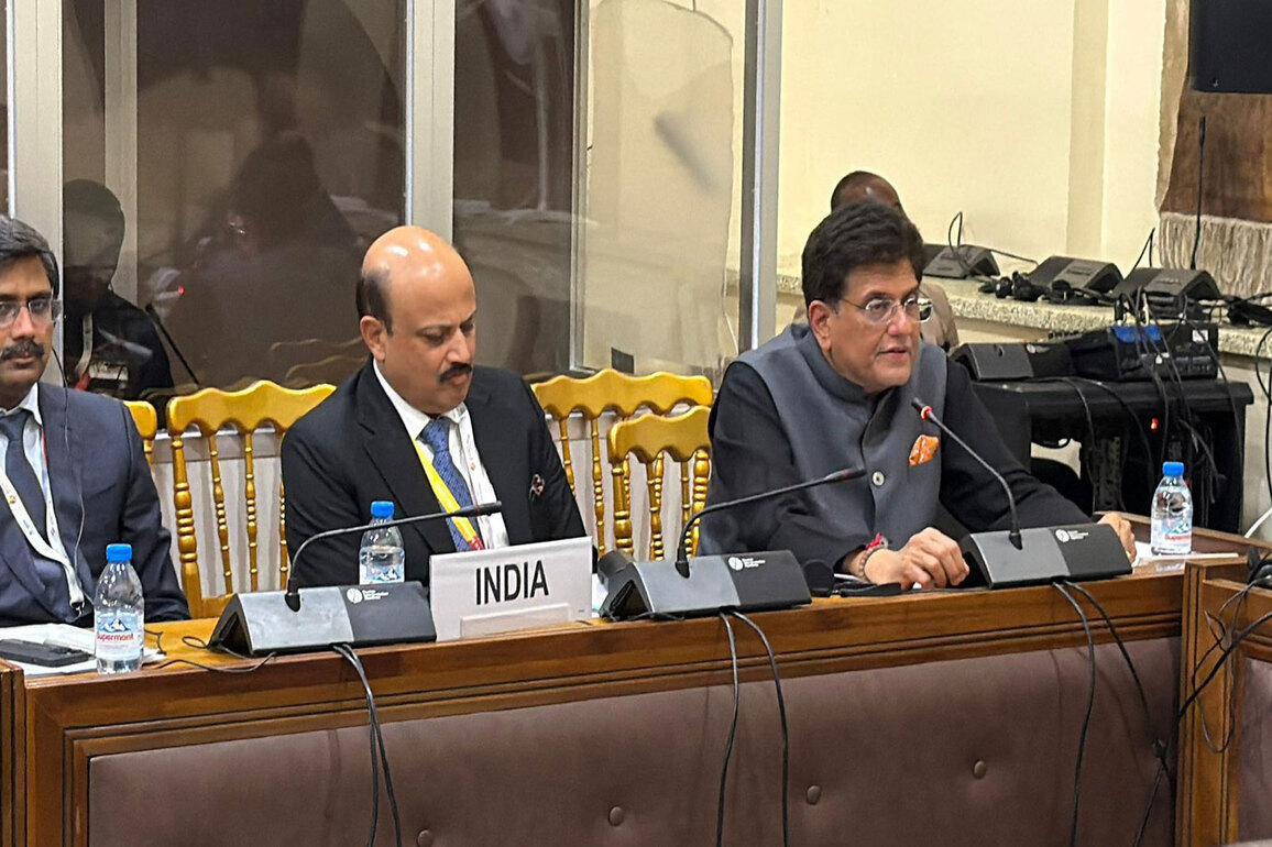 Piyush Goyal holds talks with African countries at WTO Ministerial Conference in Cameroon