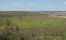 Rehabilitated land at the Curragh mine.