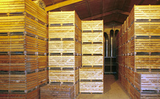 Arable Farming special: New data reveals the crop safety of potato sprout suppressants