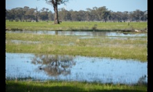  The value of farmland has performed well in 2019. Picture Mark Saunders.