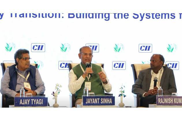 CII taskforce proposes five-point roadmap to accelerate India's green transition