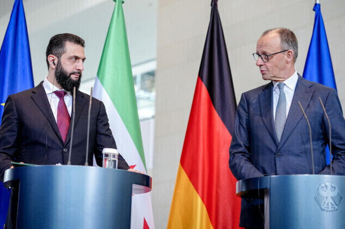 Majority of Syrian migrants should return home  Merz