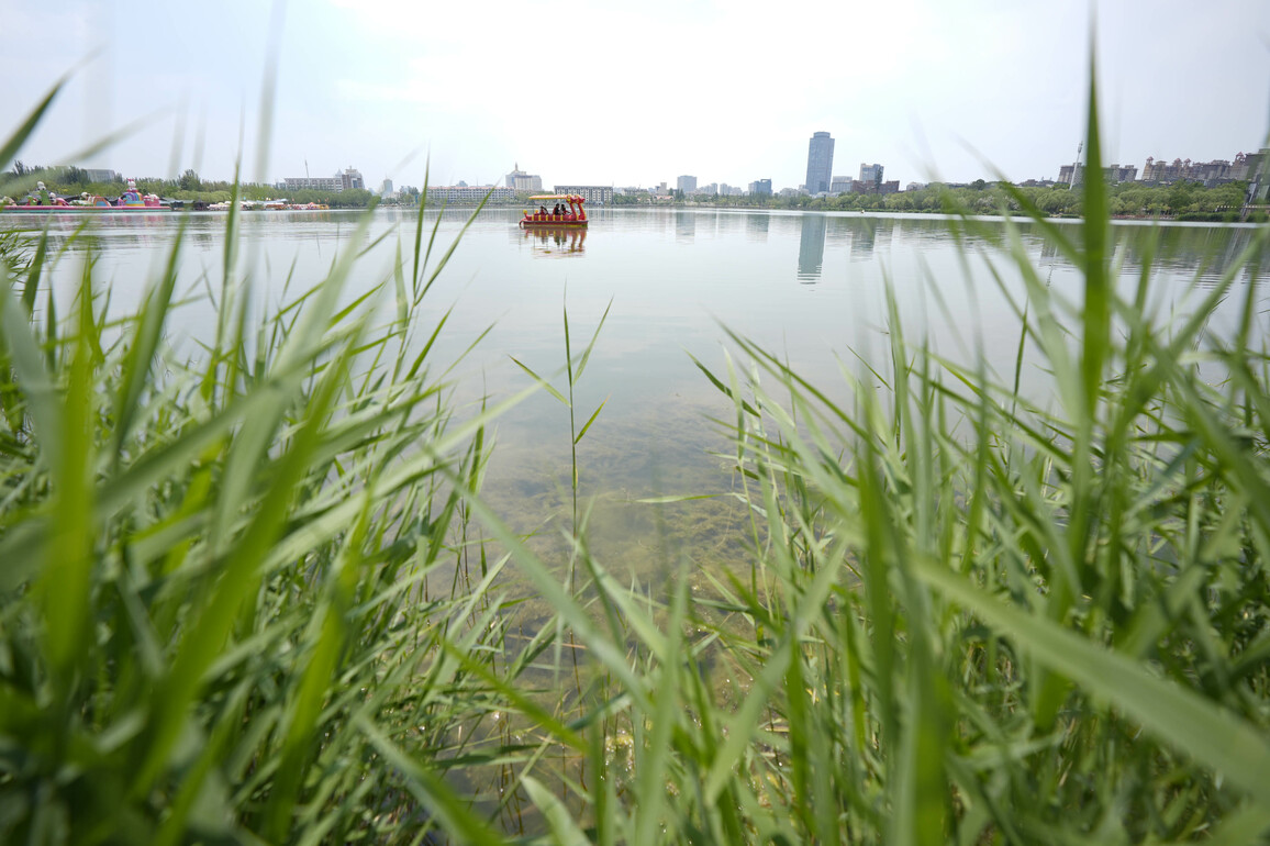 CHINA-NINGXIA-YINCHUAN-SUMMER (CN)