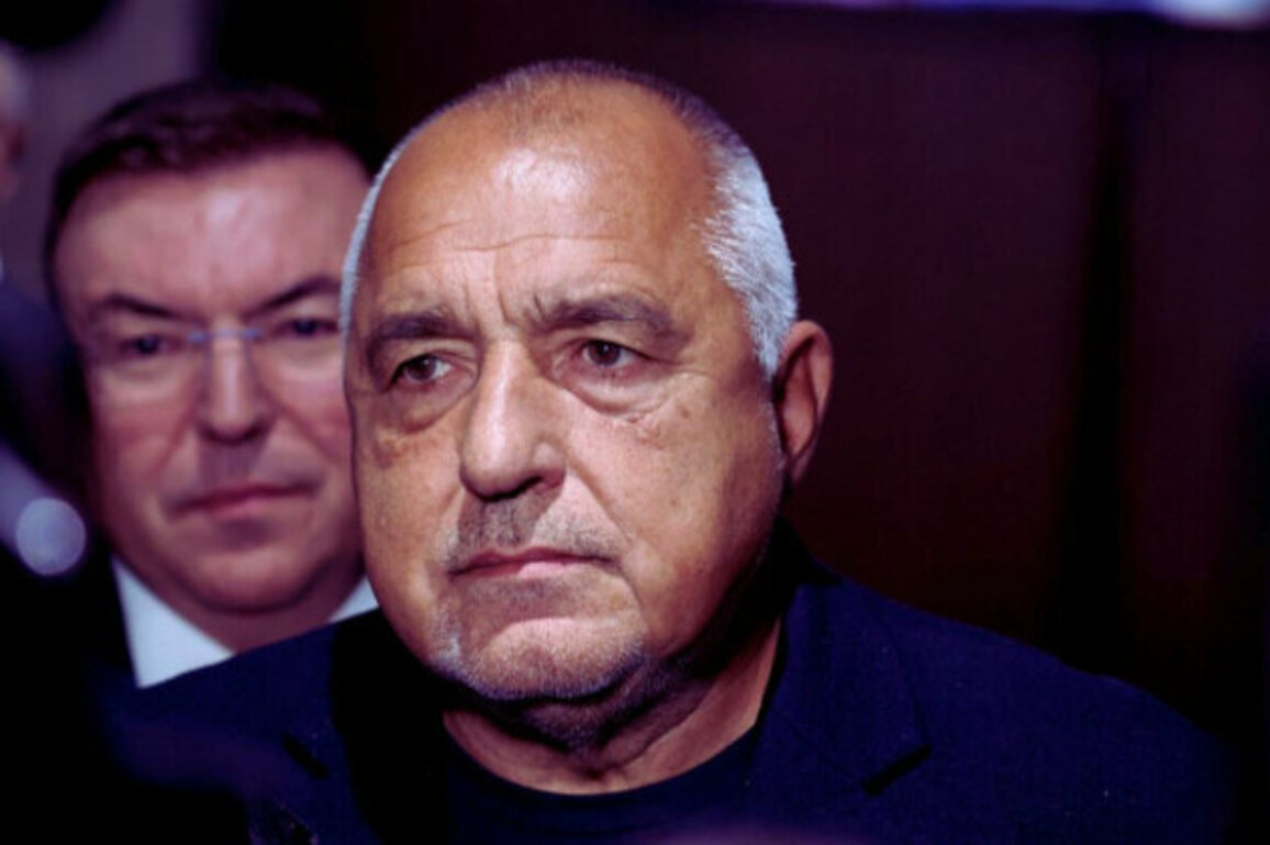 Bulgaria's Borissov: 'I Dont Have a President, I Have a Party Leader'