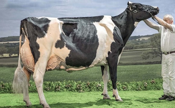 Holsteins take SuperCow and SuperHeifer titles as AgriScot returns