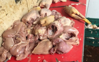 Four men handed jail terms after diverting meat not meant for human consumption back into food chain