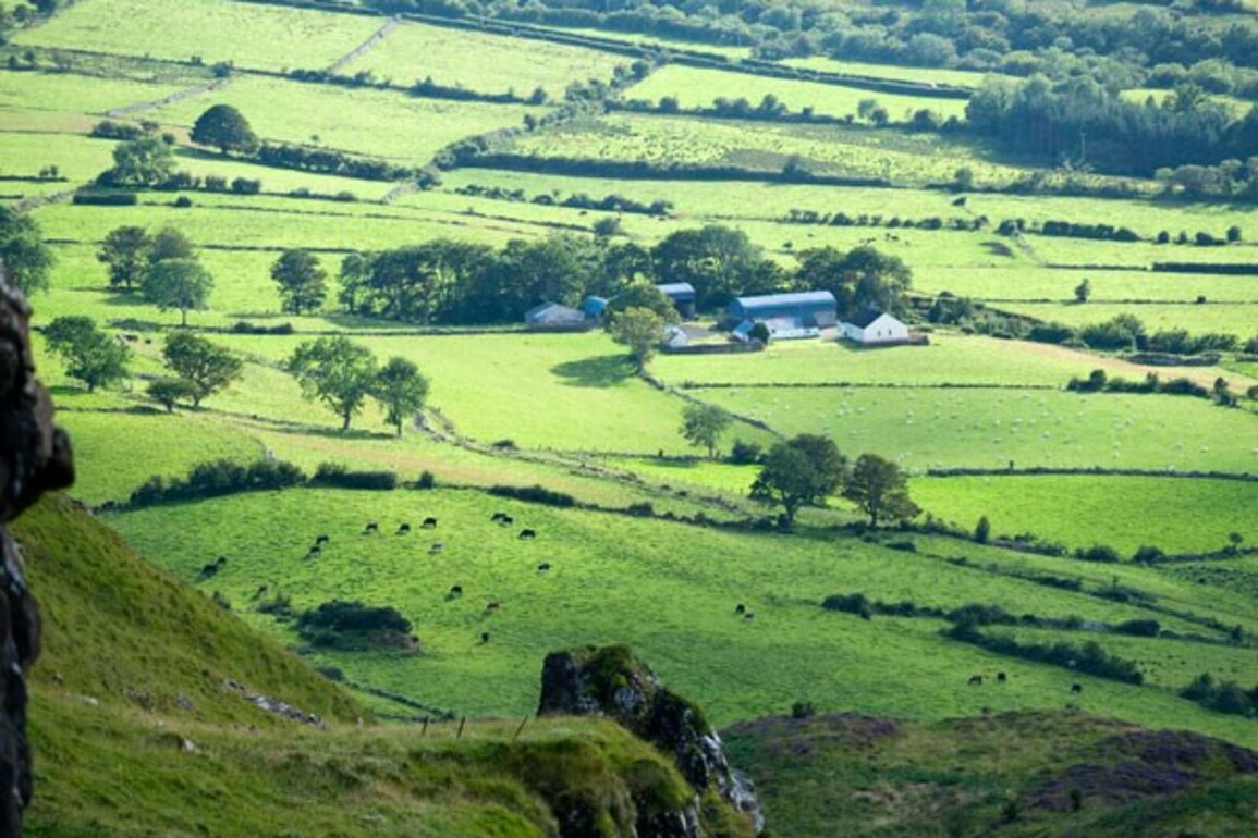 Blueprint For Bovine TB Eradication In Northern Ireland Published  16-04-2025