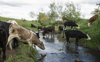 Farming is the UK's biggest water polluter - but water firms are getting most of the blame