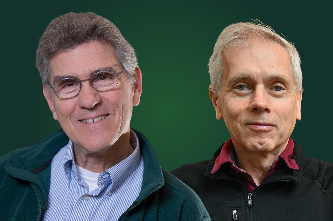 Two named to American Academy of Arts &amp; Sciences - The Source - WashU