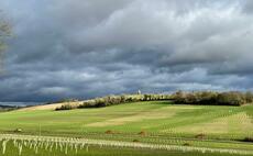 Biodiversity Net Gain: South Downs farmland to host 'one of UK's largest' land banks