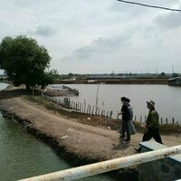 'Mang Oge' dan usaha warga Muara Gembong buktikan hilirisasi mangrove bisa janjikan cuan