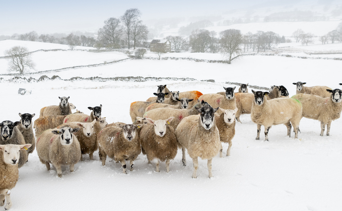 ż warned more snow and ice forecast this week