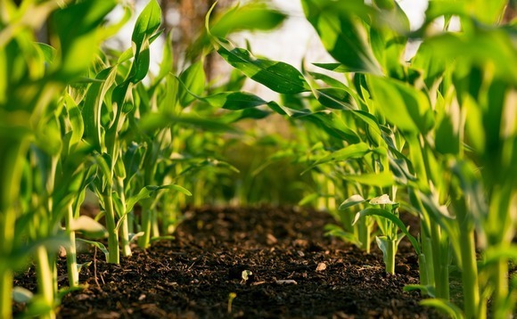 BRV leads $140m Series C for Korea's Green Labs
