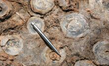 Walford dolamite stromatolites at the Nicholson lead-zinc-silver project.