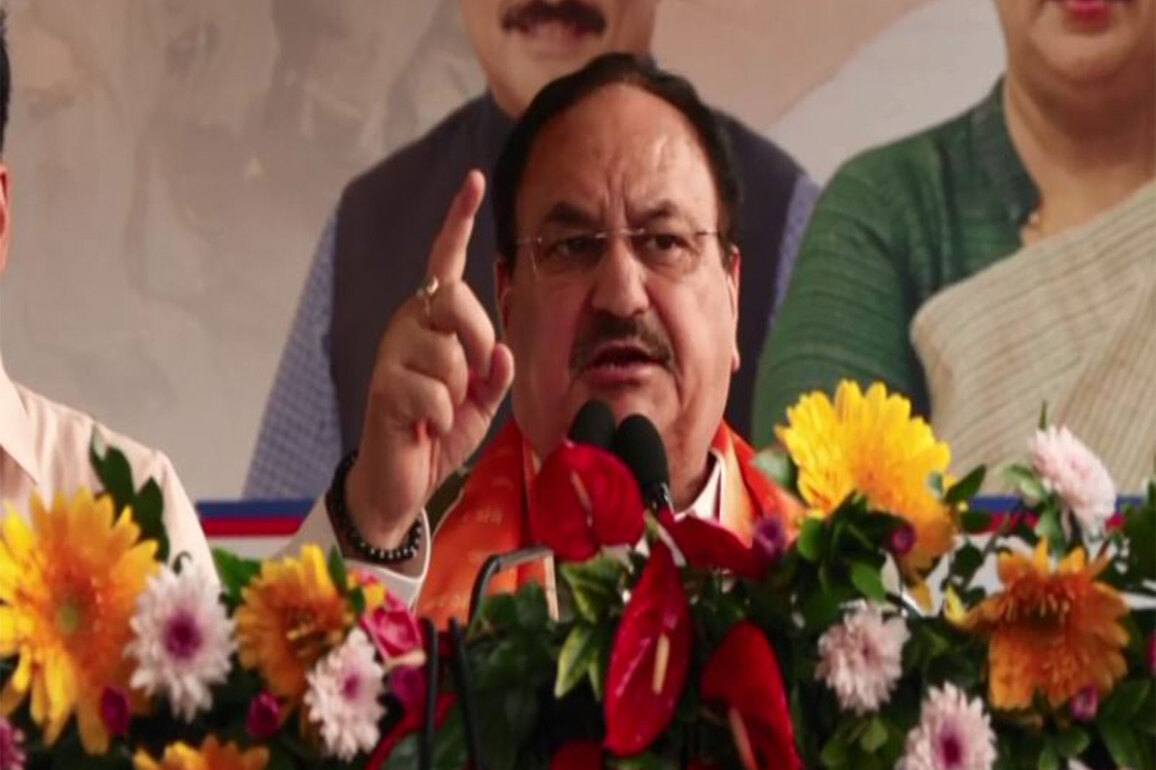"Under PM Modi's leadership, we're carrying forward vision of a Swadeshi and self-reliant India": JP Nadda