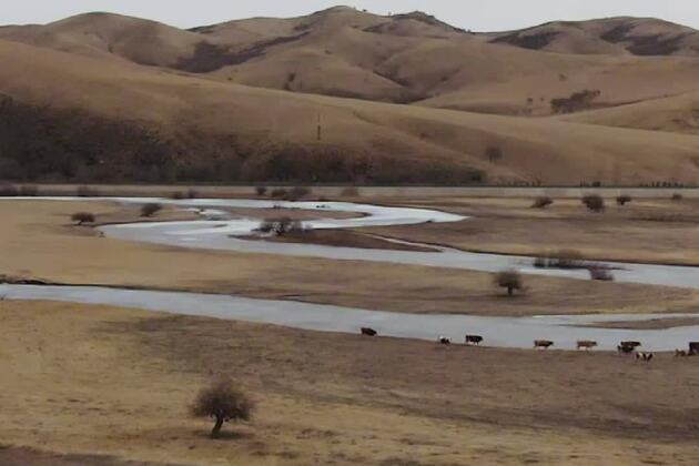 60"FlyOverChina | Wildlife wonders from above: migratory birds in Xing'an League