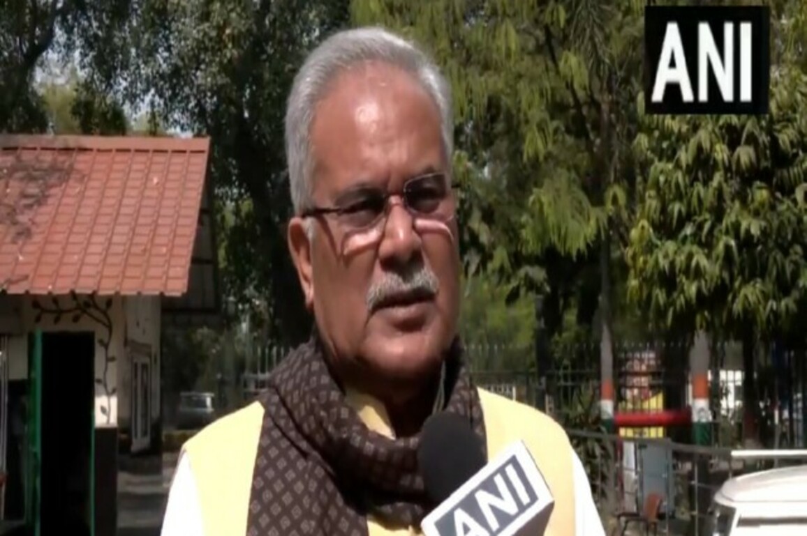 "Stampede happened more than once...": Congress' Bhupesh Baghel