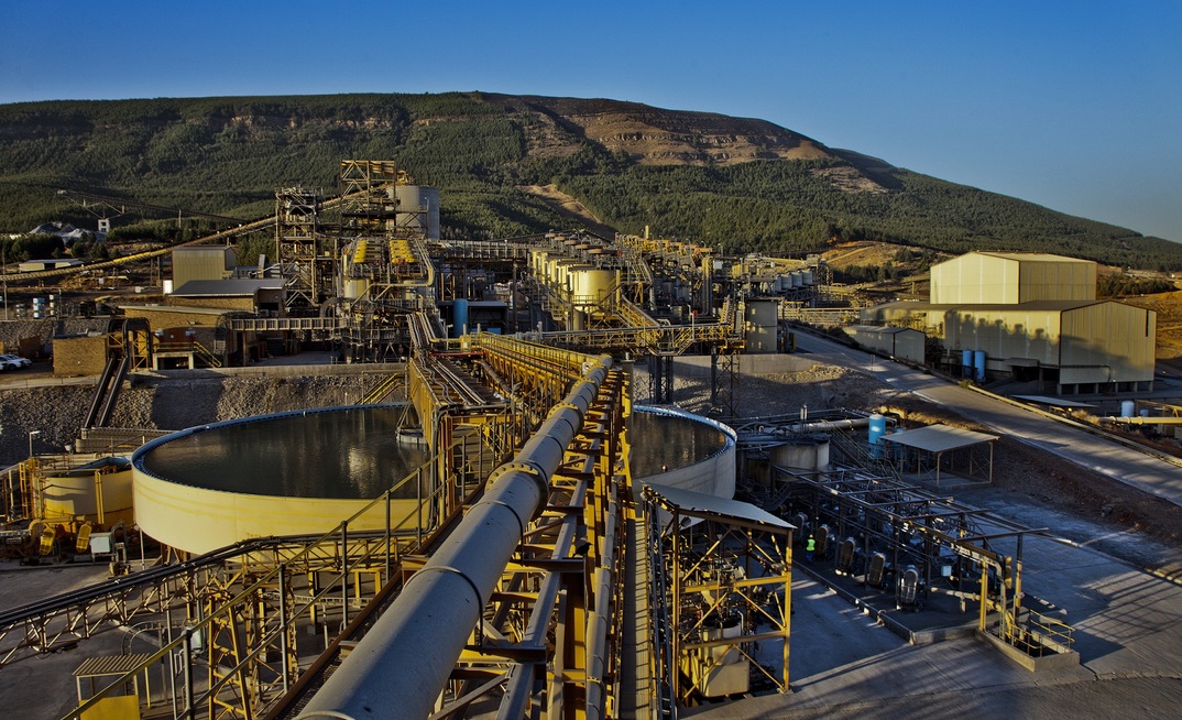 Survival of the fittest