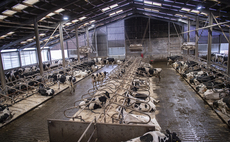 Mitigating heat stress in dairy cows