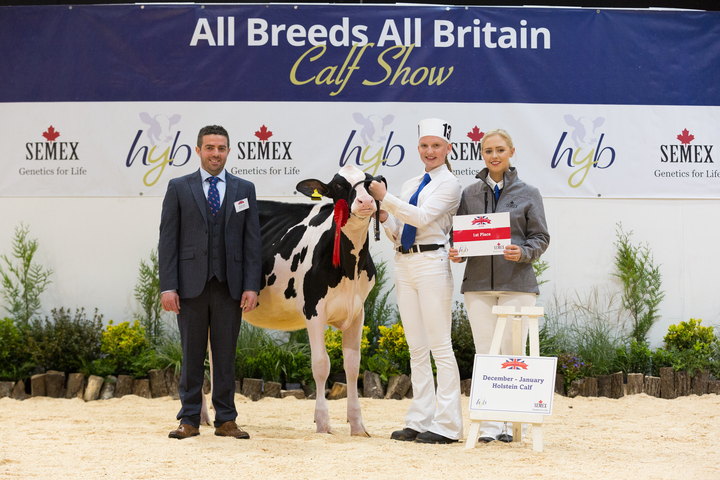 Riverdane Holsteins win at All Breeds All Britain calf show