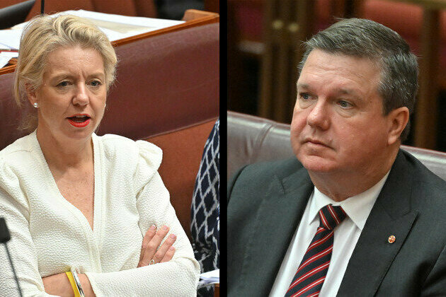 View from The Hill: Coalition split puts Victorian and NSW Nationals Senate seats at high risk