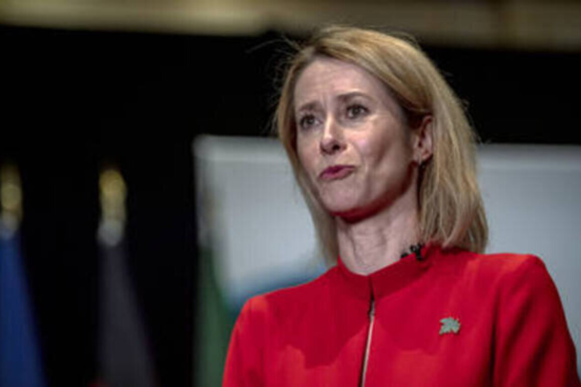 Many Canadians want to join 'woke, decadent' EU - Kallas