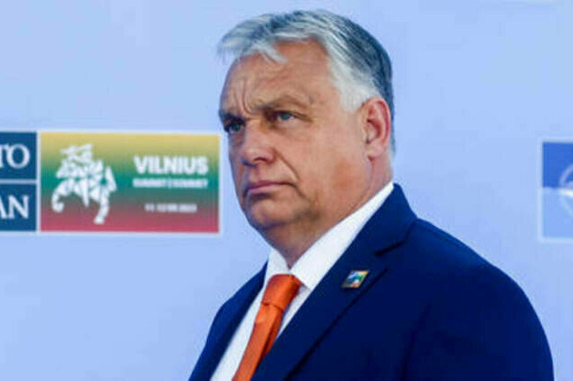 EU 'can't afford' to support Ukraine - Orban