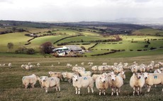 Sustainability the selling point for Welsh meat