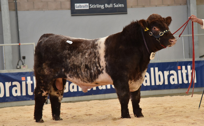 Top price bull, Coxhill Taskforce, from Lucinda Townsend and Derek  Steen, Moffat, which sold for 20,000gns to A. and C. Farms, Rutland.