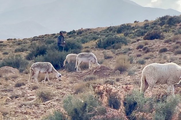 Tourism Is Another Casualty of Morocco&#039;s Earthquake