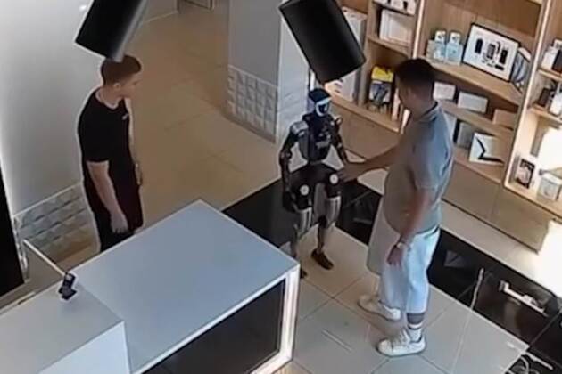 Robot 'attacks customer' using martial arts skills after he pushed it in technology store