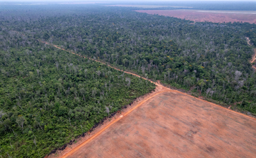 WWF warns end of Amazon Soy Moratorium could fuel 1.4 million hectares of deforestation