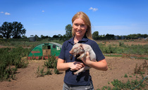 Young pig farmer creating her own success story at 23