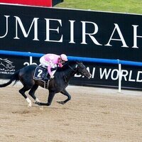 Dubai World Cup: Japanese colt Wonder Dean wins UAE Derby