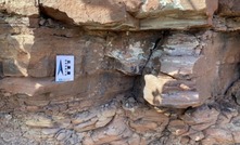 Projeto do SGB mapeia reservas de terras raras e urânio