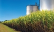 Sugarcane research reduces nitrogen run-off, increases profits