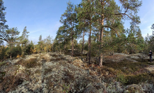 The Olserum Rare Earths project in Southern Sweden has the potential to be Europe’s first REE mine Credit: EGT