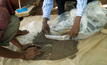 Worker packs coltan after milling in DRC Congo. Photo: Nada B