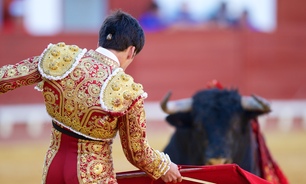 Matador and bull