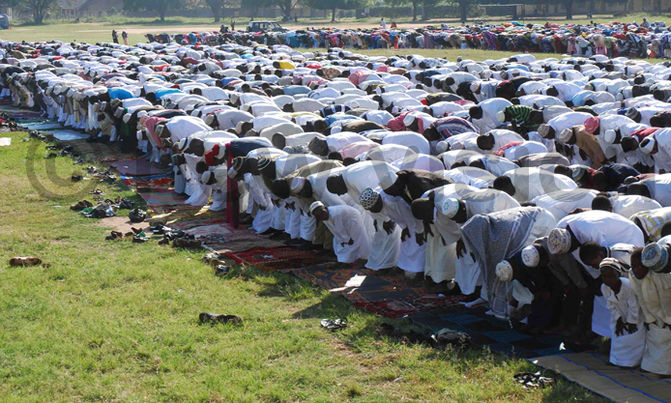 Eid al-Adha: Friday declared a public holiday Eid al-Adha: Friday declared a public holiday